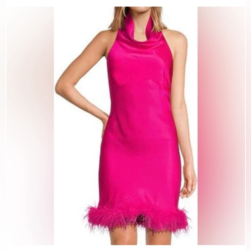NWT DOLLY FEATHER DRESS